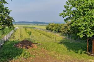 Holiday house with a parking space Zarilac, Slavonija - 23028