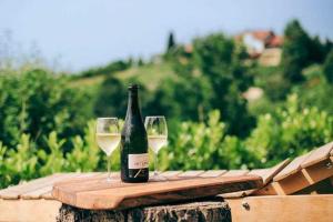 Secluded holiday house Marija Gorica, Prigorje - 23083