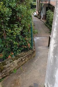 Apartments with parking space Dramalj, Crikvenica - 23586