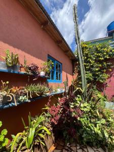 Tuchita House en Cataratas con piscina, parrilla, cochera, wifi