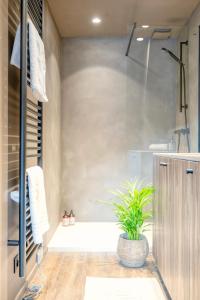 Charming Attic Retreat in Historic Ghent Center