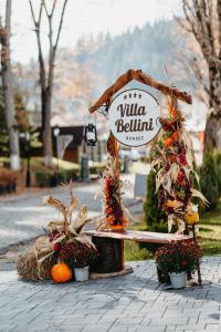 Villa Bellini Borszék