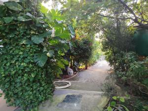 Beverly Dinesh Homestay