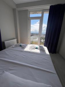 2 Badroom apartment 11