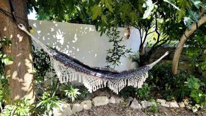 Nuits de Bohème entre ville et mer