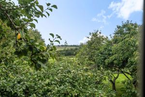 Mill View Burnham Norton