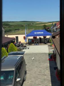 Casa Antonia Homestay