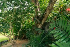 Beau Vallon Bungalows