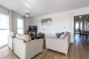 The Luxurious Semi-Circle