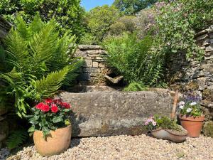 Willow Cottage At Naze Farm-Uk32760