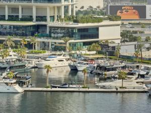 Downtown Dubai, Canal view ,Mag318
