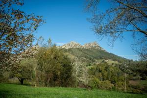 Casa Collado Santo Tomás