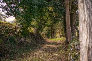 Casa Collado Santo Tomás