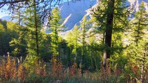 Studio tout équipé, piscine chauffée, départ skis aux pieds