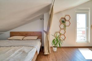 Cozy rooftop apartment with the city view