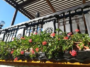 Cabana Turistica ,,Baile Oglinzi