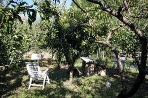 Apartment Groznjan 7038a