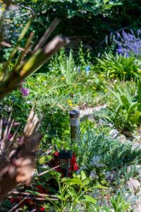 Apartment Barbat 4977a