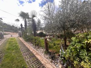 Apartment Zaton 12988a