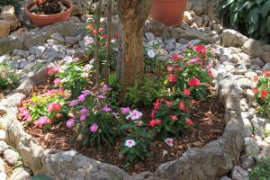 Apartment Kukljica 8237b