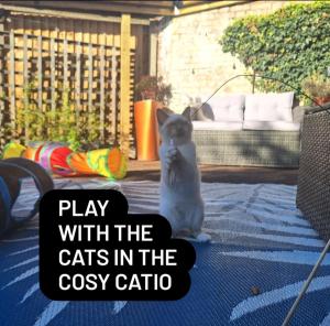 CABIN in hosts huge garden CHILD FRIENDLY with Hens Kittens firepit Marshmallows