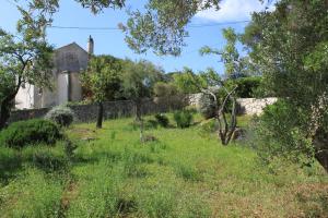 Apartment Nerezine 2518c