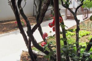 Triple Room Zaostrog 2662b