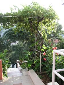 Seaside holiday house Vinisce, Trogir - 20520