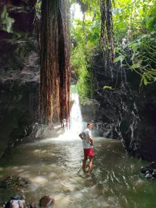 Forest Side Bungalow