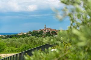 Villa Visignano with private pool, BBQ and jacuzzi