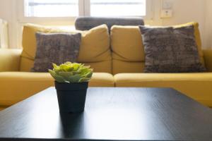 Spacious apartment Municipio 9