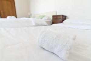 Spacious apartment Municipio 9