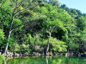 Glamping Adventure on the Guadalupe River: Cool Bell Tent near New Braunfels, Texas Perfect forAges