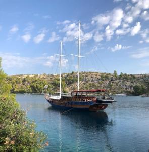 Apartment Oliven Penthouse