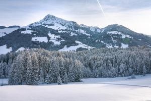 Yogahof Kitzbühel - Boutique Alpine Hideaway