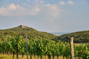 Icce Borbirtok - Wine, Dine & Rest