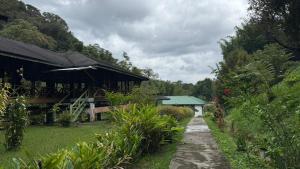 Mahua Lodge and Campsite