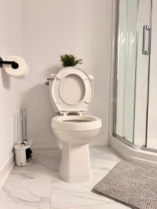 Cozy and Spacious Suite in a Pet and Smoke free Home - Self checkin Anytime - Private Ensuit Bath - King Bed - Ultra Fast Wifi - Free Parking - Smart TV