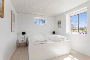 TV1679-Skagen-Doktorstien-2