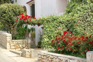 Apartment Mandre 523b