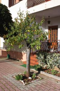 Apartment Biograd na Moru 5899a