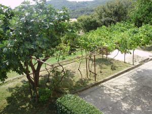 Apartment Labin 7468b