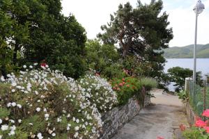 Apartment Viganj 10116d