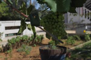 Apartment Mrljane 8464a