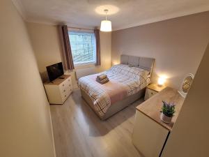 Modern City Apartment