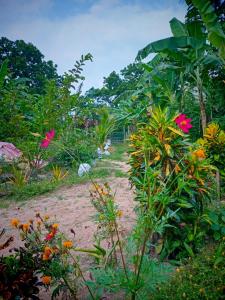 Venus Inn Goyambokka