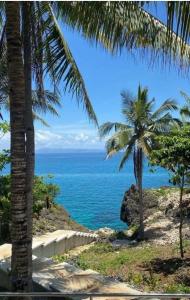 peaceful turtle camp