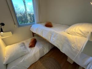 Vakantiebungalow Vrijzicht