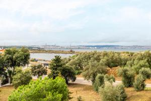 Lisbon South Bay - Orizon Seixal