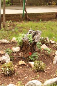 Apartment Tribunj 7117b